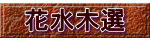 花水木選 