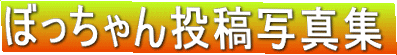ڂ񓊍eʐ^W