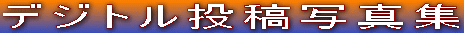 fWgeʐ^W