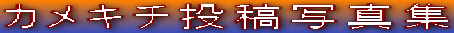 JL`eʐ^W